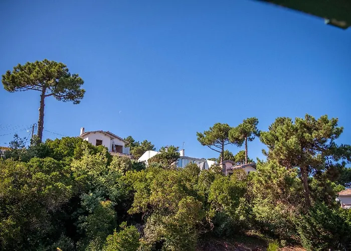 Дом отдыха Aitama *